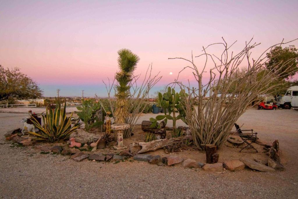 Joshua Tree Ranch House Motel - Downtown - Room #3 Bagian luar foto